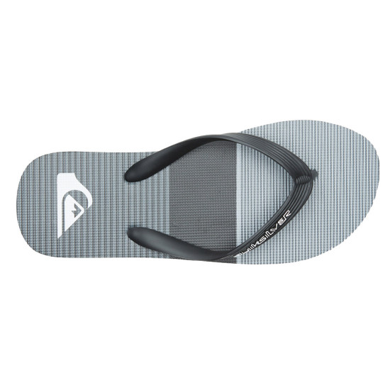 Quiksilver Molokai Tijuana - Flip-Flops for Men